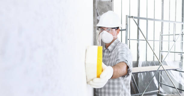 Best Post-Construction Mold Inspection  in Los Molinos, CA