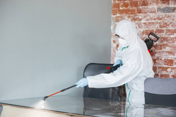 Best Black Mold Removal  in Los Molinos, CA